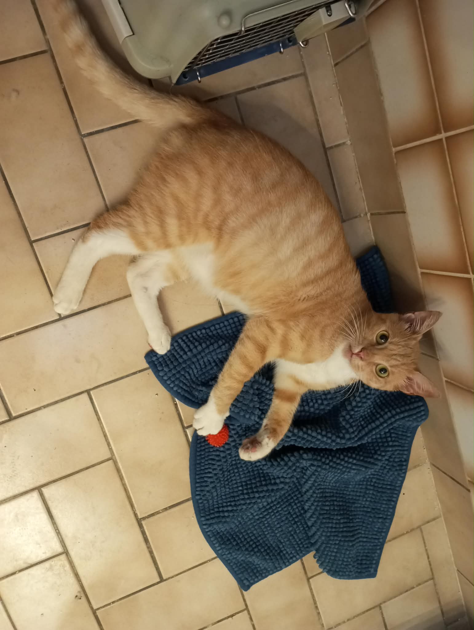 att.ke-qnkNkUfKQcGRL1K092SzwGOYgcdqm3PKv9bVUVcc