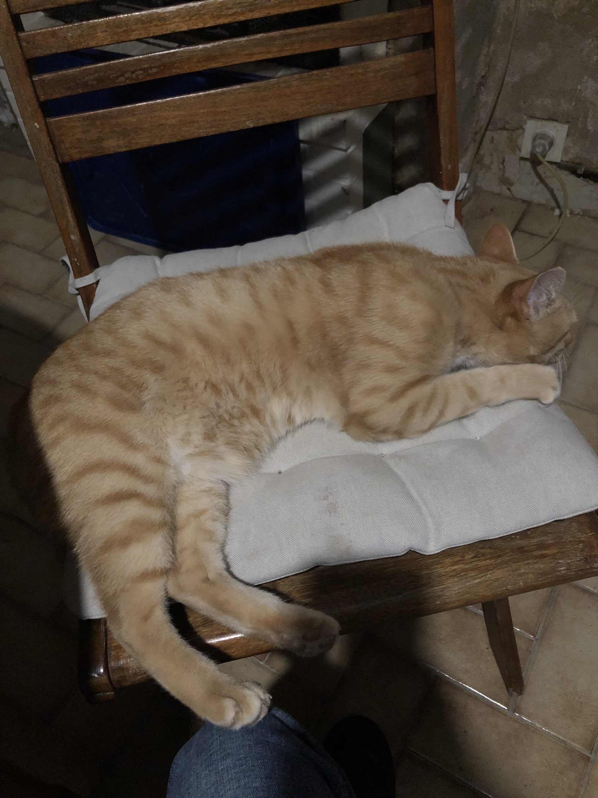 IMG_0719